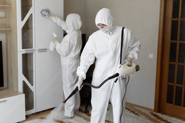 Best Attic Mold Removal  in Rollingwood, CA